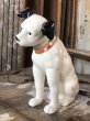 画像11: RCA Victor Nipper Dog Statue Figure (B502) (11)