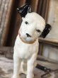 画像3: RCA Victor Nipper Dog Statue Figure (B501) (3)