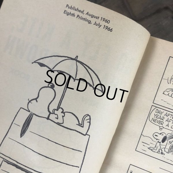 画像5: Vintage Book SNOOPY / GO FLY A KITE, CHARLIE BROWN (B551) (5)