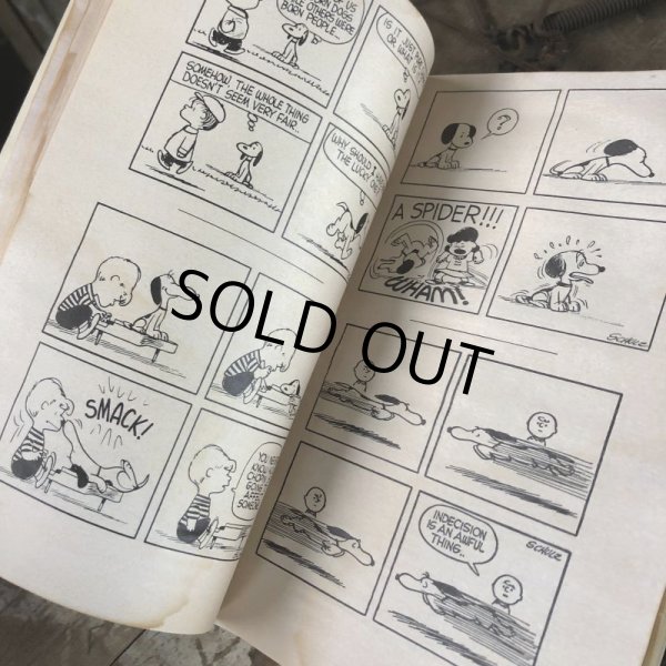 画像6: Vintage Book SNOOPY (B554) (6)