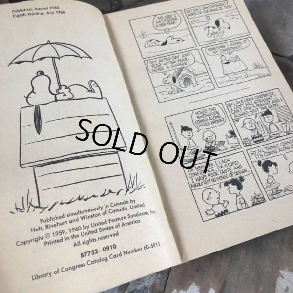 画像4: Vintage Book SNOOPY / GO FLY A KITE, CHARLIE BROWN (B551) (4)