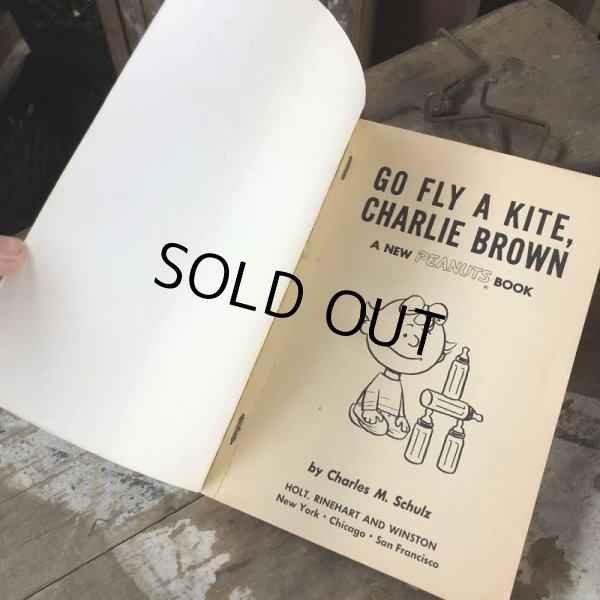 画像2: Vintage Book SNOOPY / GO FLY A KITE, CHARLIE BROWN (B551) (2)
