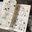 画像6: Vintage Book SNOOPY / GO FLY A KITE, CHARLIE BROWN (B551) (6)