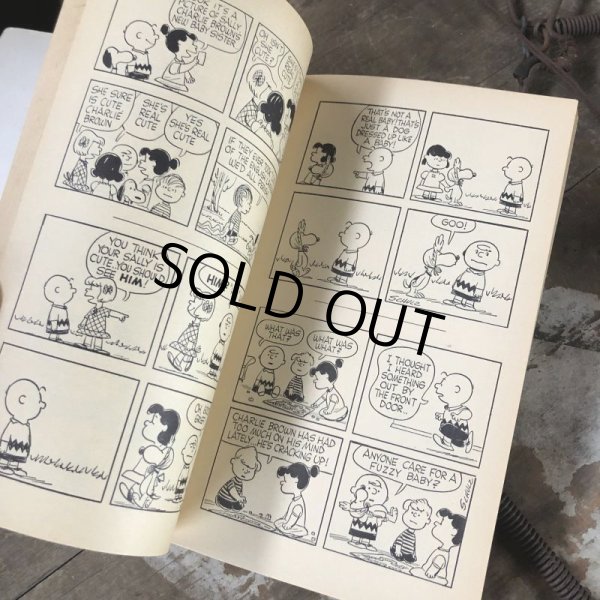 画像6: Vintage Book SNOOPY / GO FLY A KITE, CHARLIE BROWN (B551) (6)