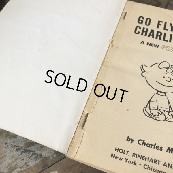 画像3: Vintage Book SNOOPY / GO FLY A KITE, CHARLIE BROWN (B551) (3)