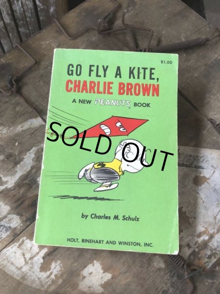 画像1: Vintage Book SNOOPY / GO FLY A KITE, CHARLIE BROWN (B551) (1)