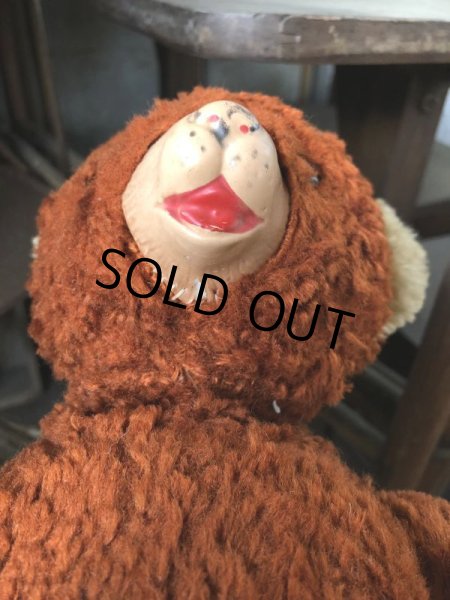 画像4: Vintage Celluloid Nose Doll Bear 22cm (B583） (4)
