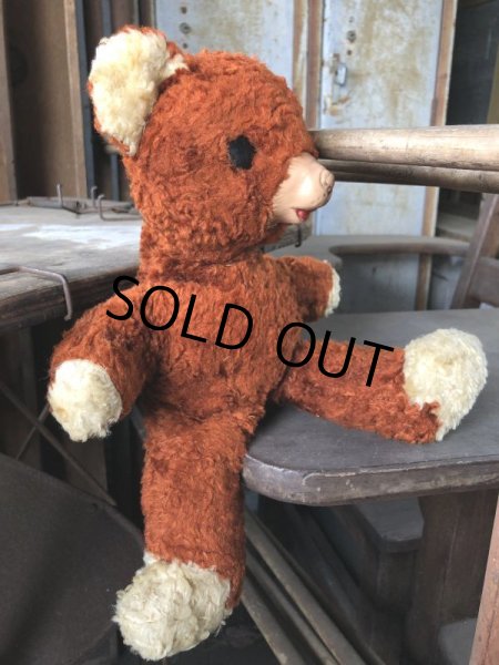 画像6: Vintage Celluloid Nose Doll Bear 22cm (B583） (6)