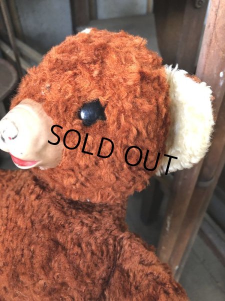 画像2: Vintage Celluloid Nose Doll Bear 22cm (B583） (2)