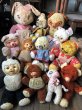 画像10: Vintage Plush Doll Teddy Bear 23cm (B586） (10)