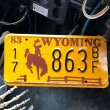 画像1: 80s Vintage American License Number Plate / WYOMING 17 863 BF (B610) (1)