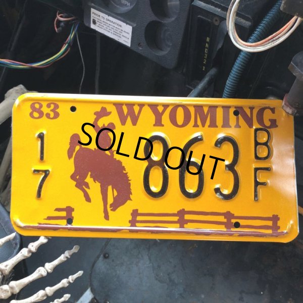 画像1: 80s Vintage American License Number Plate / WYOMING 17 863 BF (B610) (1)