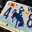 画像2: 90s Vintage American License Number Plate / Wyoming 4 869 AE (B611) (2)