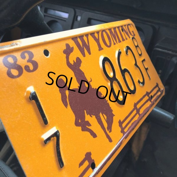 画像2: 80s Vintage American License Number Plate / WYOMING 17 863 BF (B610) (2)