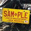 画像1: Vintage American License Number Plate / New Mexico SAM PLE (B619) (1)