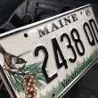 画像2: 00s Vintage American License Number Plate / MAINE 2438 QD (B607) (2)