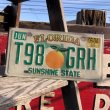 画像1: Vintage American License Number Plate / FLORIDA T98 GRH (B625) (1)