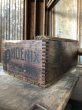 画像15: Antique Phoenix Bull Gog Toe Calks Wooden Box (B667) (15)