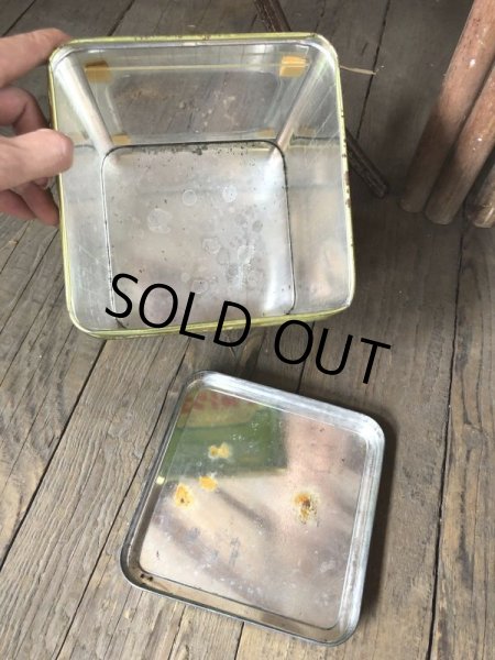 画像5: Vintage Tin Can REGINA FP (B746) (5)