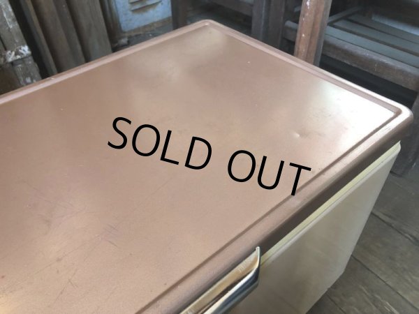 画像19: Vintage Coleman Cooler Box Butter Nuts (B739) (19)