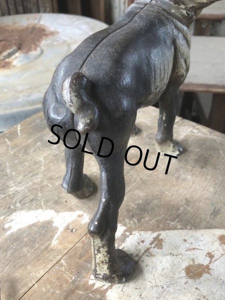 画像8: Antique Cast Iron Boston Terrier Doorstop Statue (B818) (8)