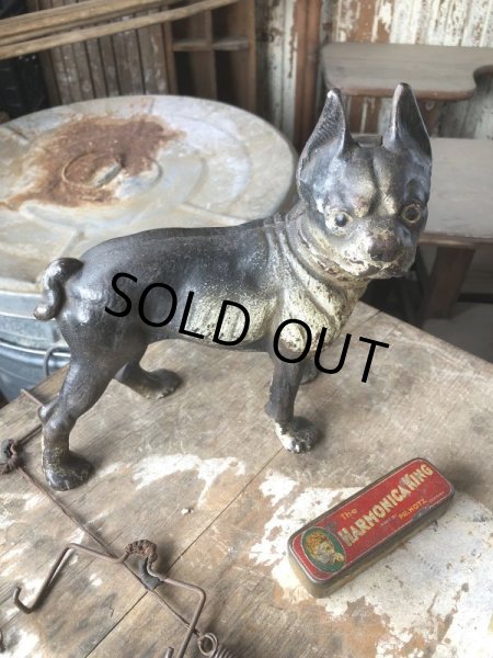 画像20: Antique Cast Iron Boston Terrier Doorstop Statue (B818) (20)