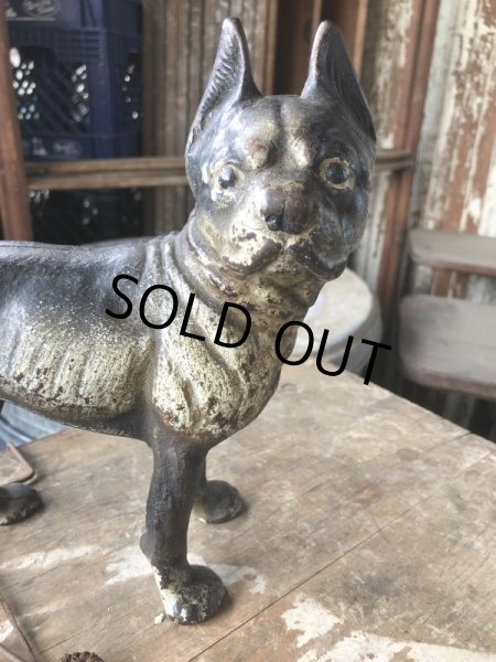 画像19: Antique Cast Iron Boston Terrier Doorstop Statue (B818) (19)