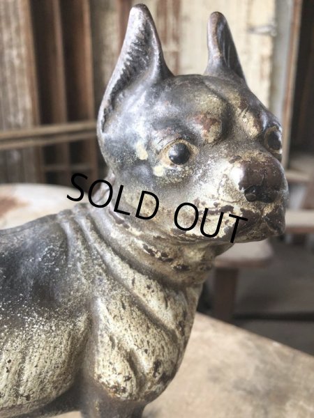 画像14: Antique Cast Iron Boston Terrier Doorstop Statue (B818) (14)