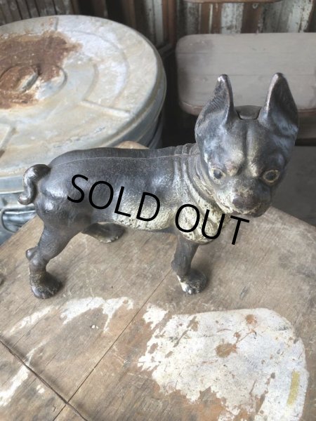 画像15: Antique Cast Iron Boston Terrier Doorstop Statue (B818) (15)