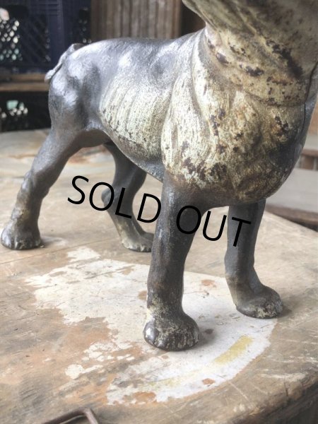 画像7: Antique Cast Iron Boston Terrier Doorstop Statue (B818) (7)