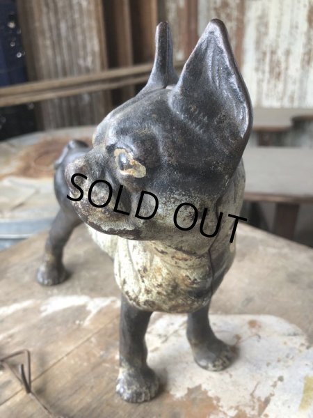 画像12: Antique Cast Iron Boston Terrier Doorstop Statue (B818) (12)