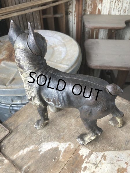 画像17: Antique Cast Iron Boston Terrier Doorstop Statue (B818) (17)