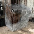 画像7: Vintage Frank D Cohan Gym Locker Metal Wire Basket #976 (B955) (7)