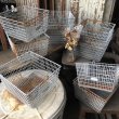 画像11: Vintage Frank D Cohan Gym Locker Metal Wire Basket #971 (B956) (11)