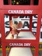 画像4: 【店舗引き取り限定】 80s CANADA DRY Advertising Hard Plastic Store Display Shelf Rack (M281) (4)