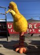 画像2: 【店舗引き取り限定】 Vintage Sesame Street Big Bird Store Display Life size Statue RARE! Hard to Find!!! (M283) (2)