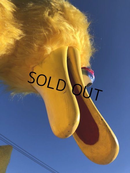 画像9: 【店舗引き取り限定】 Vintage Sesame Street Big Bird Store Display Life size Statue RARE! Hard to Find!!! (M283) (9)