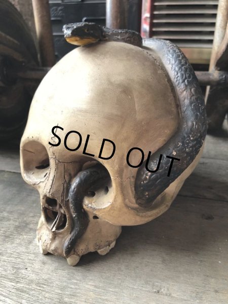 画像9: Rare ! Vintage Skeleton Skull & Snake Figurine Statue Hard to Find !!! (M382) (9)