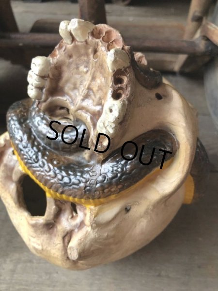 画像15: Rare ! Vintage Skeleton Skull & Snake Figurine Statue Hard to Find !!! (M382) (15)