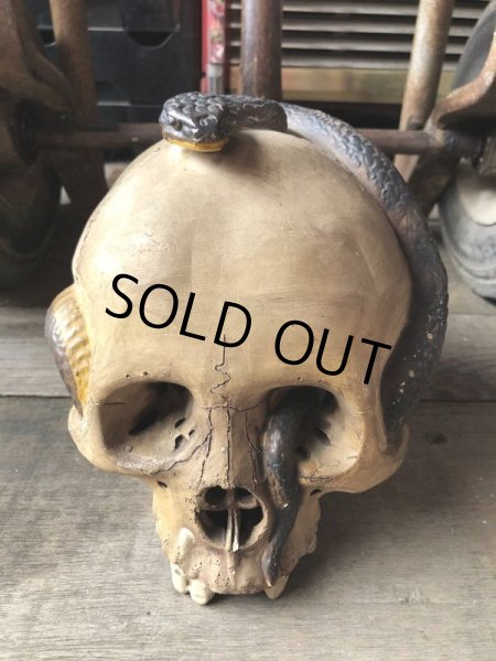 画像2: Rare ! Vintage Skeleton Skull & Snake Figurine Statue Hard to Find !!! (M382) (2)
