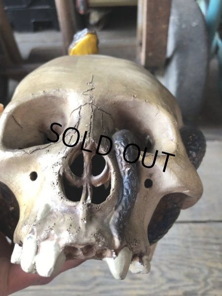 画像23: Rare ! Vintage Skeleton Skull & Snake Figurine Statue Hard to Find !!! (M382) (23)
