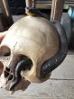 画像22: Rare ! Vintage Skeleton Skull & Snake Figurine Statue Hard to Find !!! (M382) (22)