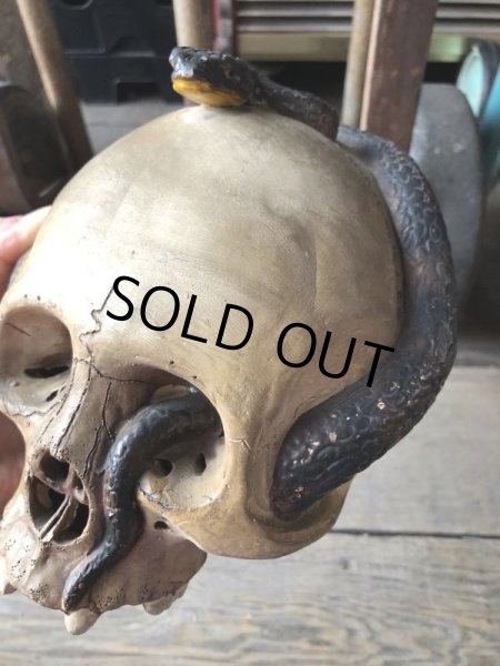 画像22: Rare ! Vintage Skeleton Skull & Snake Figurine Statue Hard to Find !!! (M382) (22)
