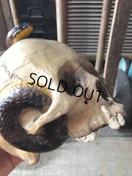 画像21: Rare ! Vintage Skeleton Skull & Snake Figurine Statue Hard to Find !!! (M382) (21)