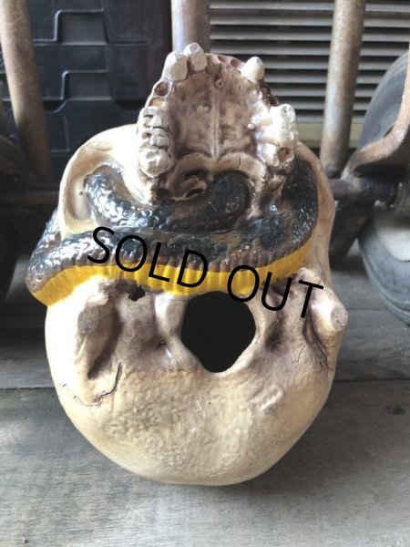 画像16: Rare ! Vintage Skeleton Skull & Snake Figurine Statue Hard to Find !!! (M382) (16)