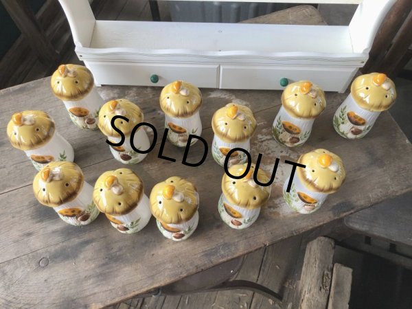 画像22: 70s Vintage Sears Merry Mushrooms kitchen Coordinates Spice Rack N.O.S (M388) (22)