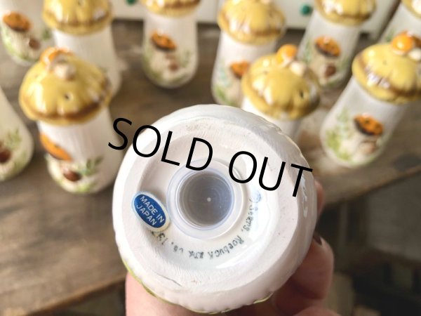 画像25: 70s Vintage Sears Merry Mushrooms kitchen Coordinates Spice Rack N.O.S (M388) (25)