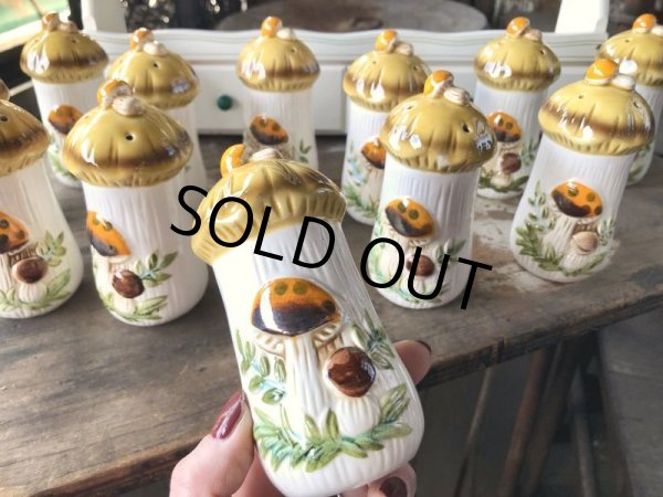 画像24: 70s Vintage Sears Merry Mushrooms kitchen Coordinates Spice Rack N.O.S (M388) (24)
