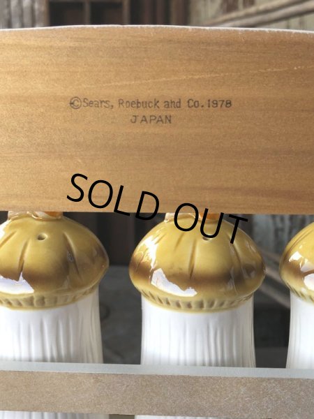 画像7: 70s Vintage Sears Merry Mushrooms kitchen Coordinates Spice Rack N.O.S (M388) (7)