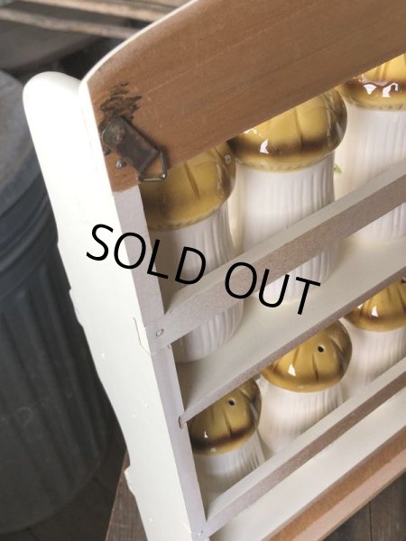 画像8: 70s Vintage Sears Merry Mushrooms kitchen Coordinates Spice Rack N.O.S (M388) (8)